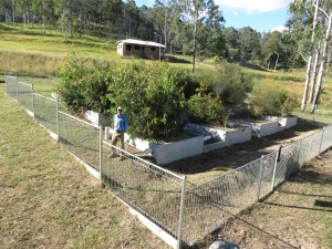 environmental consultants wastewater treatment wetlands