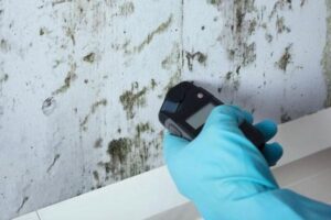 assessment of testing for mould